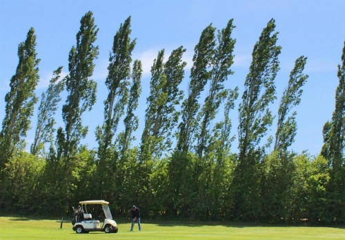 Quamby Estate image 27